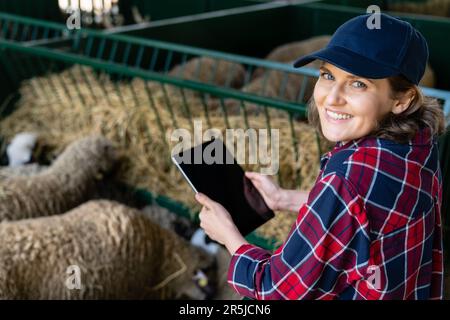 Landwirtin mit Tablet in einer Schaffalz. Herdenmanagement Stockfoto