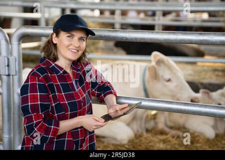 Eine Landwirtin mit Tablet-PC inspiziert Kühe auf einem Milchviehbetrieb. Herdenmanagement. Stockfoto