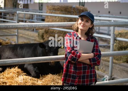 Eine Landwirtin mit Tablet-PC inspiziert Kühe auf einem Milchviehbetrieb. Herdenmanagement. Stockfoto