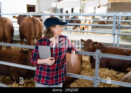 Eine Landwirtin mit Tablet-PC inspiziert Kühe auf einem Milchviehbetrieb. Herdenmanagement. Stockfoto