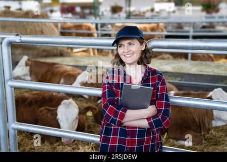 Eine Landwirtin mit Tablet-PC inspiziert Kühe auf einem Milchviehbetrieb. Herdenmanagement. Stockfoto