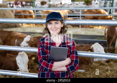 Eine Landwirtin mit Tablet-PC inspiziert Kühe auf einem Milchviehbetrieb. Herdenmanagement. Stockfoto