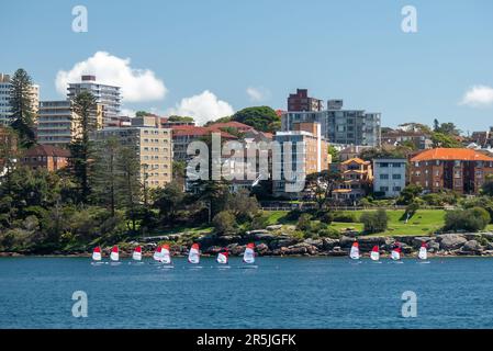 Sydney in Australien: Hafen und Skyline Stockfoto