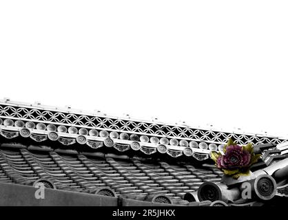 Die Fassade dieses historischen Gebäudes ist in Schwarz und Weiß gehalten und mit Farbdetails bemalt, die einen Charakter, ein Tier oder eine Blume repräsentieren. Eingestellt auf E Stockfoto
