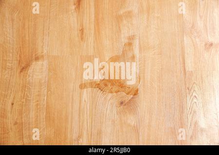 Nahaufnahme von Wasser auf dem Laminatboden aus Holz Stockfoto