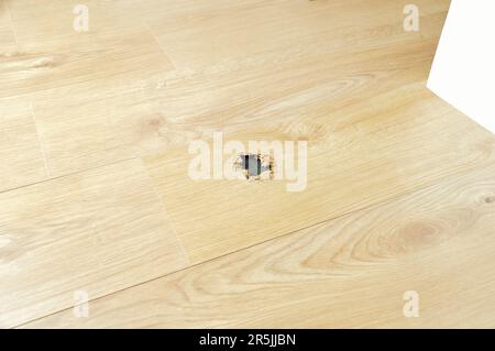 Ein Holzbodenboden, der mit einem Loch zu Hause zerstört wurde Stockfoto