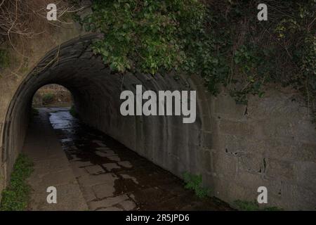 Eintritt in einen Steintunnel mit Wasserfeuchtigkeit für die Passage von Menschen und Tieren Stockfoto