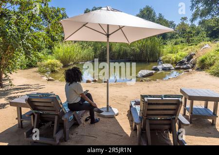 Natürlicher Swimmingpool der Thawale Tented Lodge im Majete Nationalpark von Malawi. Thawale Lodge Poolbereich. Der Naturteich für die Lodge-Gäste ist umzäunt, während der Rest der Gegend nicht durch Zäune vom Majete Wildlife Reserve getrennt ist. Stockfoto