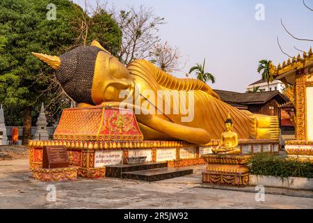 Riesiger Liegender Buddha am Tempel Wat That Khao in der Haupstadt Vientiane, Laos, Asien | großer goldener liegender Buddha von Wat That Khao im La Stockfoto