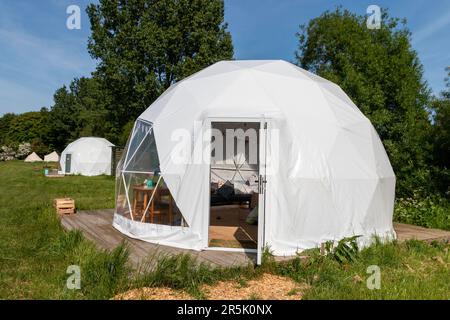 Nahaufnahme einer Glammerkapsel auf einem Feld auf einem Bauernhof. Stockfoto