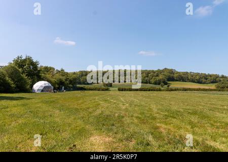 Nahaufnahme einer Glammerkapsel auf einem Feld auf einem Bauernhof. Stockfoto