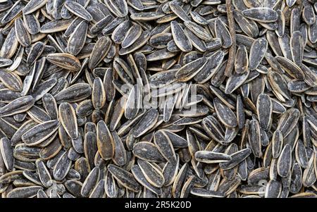 Schwarze Sonnenblumenkerne für Textur oder Hintergrund. Salzige knusprige Sonnenblumenkerne als Hintergrund. Stockfoto