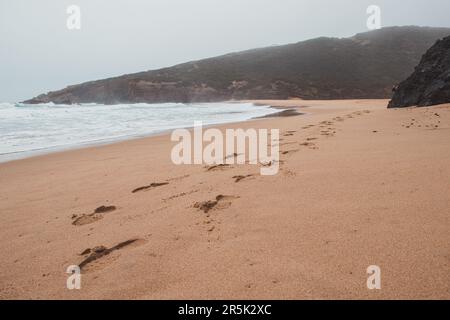 Spaziergang entlang des Fisherman Trail in der Algarve im Südwesten Portugals. Menschliche Fußspuren in der sandigen Oberfläche. Stockfoto