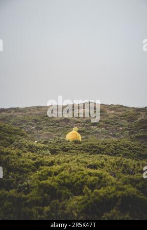 Wandern bei starkem Regen und Tragen einer Regenjacke entlang des Fisherman Trail im südlichen Teil Portugals bei Regenwetter auf dem Weg nach Cape St. Vic Stockfoto