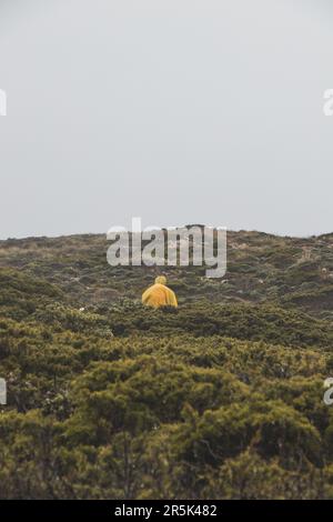 Wandern bei starkem Regen und Tragen einer Regenjacke entlang des Fisherman Trail im südlichen Teil Portugals bei Regenwetter auf dem Weg nach Cape St. Vic Stockfoto