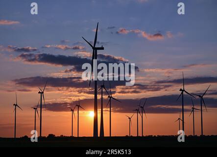 Jacobsdorf, Deutschland. 01. Juni 2023. Eine Windfarm bei Sonnenuntergang. Nach Angaben des Bundesverbands WindEnergie e.V. (Deutscher Windenergieverband) liegt der Bundesstaat Brandenburg an zweiter Stelle unter den Bundesländern mit der größten installierten Kapazität von Windkraftanlagen. Somit wird etwa ein Drittel des Strombedarfs aus Windenergie erzeugt. Kredit: Patrick Pleul/dpa/Alamy Live News Stockfoto