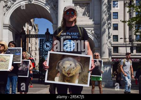 London, England, Großbritannien. 4. Juni 2023. Ein Aktivist hat ein Bild eines Elefantenbabys. Aktivisten mit Bildern von Tieren und einige mit echten toten Tieren versammelten sich am National Animal Rights Day neben Marble Arch, um an die Milliarden von Tieren zu erinnern, die weltweit von Menschen ausgebeutet, missbraucht und getötet wurden. (Kreditbild: © Vuk Valcic/ZUMA Press Wire) NUR REDAKTIONELLE VERWENDUNG! Nicht für den kommerziellen GEBRAUCH! Stockfoto