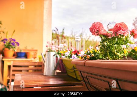 Bunte Blumen wachsen in Kisten, die an einem Balkonzaun hängen Stockfoto