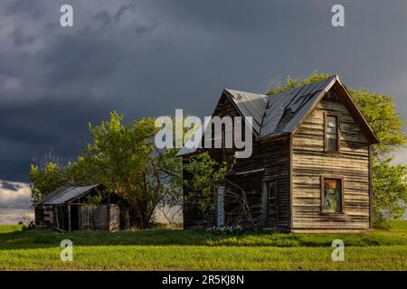 Verlassenes Bauernhaus in Flora, Oregon, USA [Keine Eigentumsfreigabe; nur redaktionelle Lizenzierung] Stockfoto