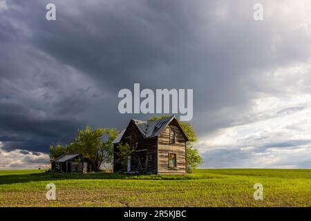 Verlassenes Bauernhaus in Flora, Oregon, USA [Keine Eigentumsfreigabe; nur redaktionelle Lizenzierung] Stockfoto