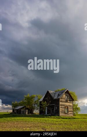 Verlassenes Bauernhaus in Flora, Oregon, USA [Keine Eigentumsfreigabe; nur redaktionelle Lizenzierung] Stockfoto