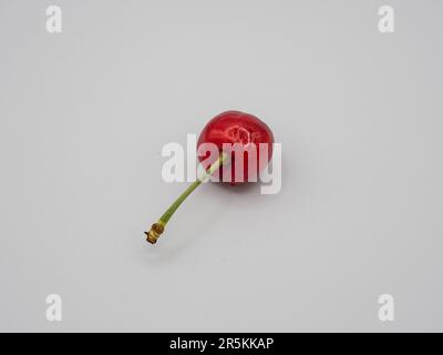 Eine saftige, süße, organische, rote Kirsche, die mit verführerischen Wassertropfen glitzert. Stockfoto