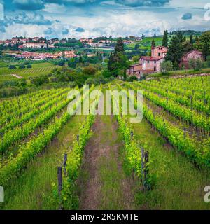 Spektakuläre Traubenreihen und grüne Weinberge auf den Hügeln. Landwirtschaftliche Fläche mit grünen Trauben. Toskanisches Stadtbild und Panzano in Chianti auf dem hil Stockfoto