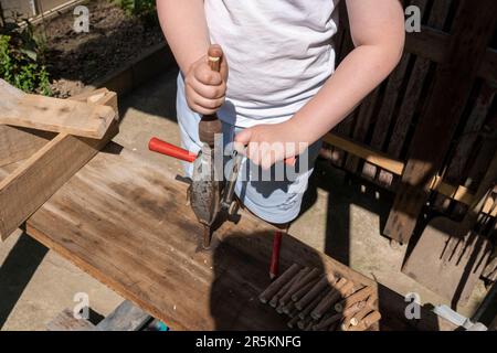 Ein dekoratives Insektenhaus aus Holz. Stockfoto