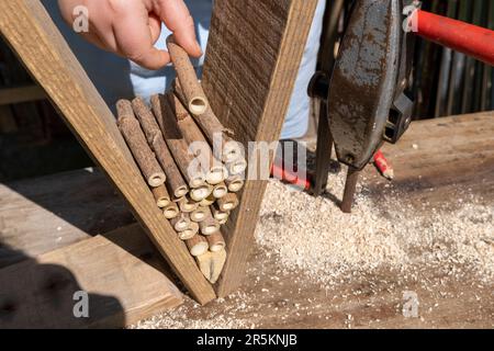 Ein dekoratives Insektenhaus aus Holz. Stockfoto