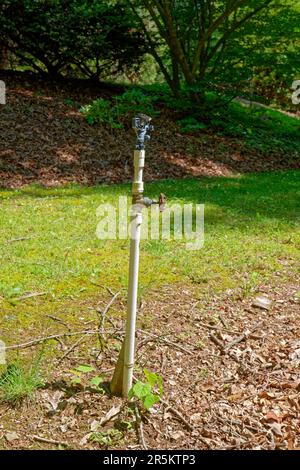 Eine hohe Bewässerungsanlage für Rasen und Gärten mit Absperrventil und Sprinklerkopf oben auf der vertikalen Nahaufnahme der Leitung Stockfoto