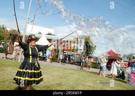 Cairns, Australien. 04. Juni 2023. Cairns, Australien. 04. Juni 2023. „Bugzy“ Bumblebee wirft Blasen, während Kinder im Cairns Eco Fiesta in den Munro Martin Parklands spielen. Das vom Cairns Regional Council organisierte Eco Fiesta ist ein Umwelt- und Nachhaltigkeitsfestival, das sich auf die Feier und Unterstützung des Great Barrier Reef und der Regenwälder der Wet Tropics im nördlichen Queensland konzentriert. Zuschauer und Umweltschützer trafen sich in Cairns Munro Martin Parklands, um lokale Lebensmittel, umweltfreundliche Technologien, recycelte Waren, Livemusik, Vorträge und Workshops zu besuchen. Kredit: SOPA Images Limited/Alamy Live News Stockfoto