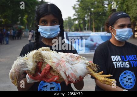 Kalkutta, Indien. 4. Juni 2023. Tierschutzaktivisten des „Unser Planet“. Sie Auch." Gemeinschaft, die ihre blutige Hand zeigt, um das Bewusstsein für die Rechte aller Tiere zu schärfen, am Indischen Nationaltag der Tierrechte (NARD) am ersten Sonntag im Juni, am 4. Juni 2023, in Kalkutta, Indien. (Kreditbild: © Biswarup Ganguly/Eyepix via ZUMA Press Wire) NUR REDAKTIONELLE VERWENDUNG! Nicht für den kommerziellen GEBRAUCH! Kredit: ZUMA Press, Inc./Alamy Live News Stockfoto