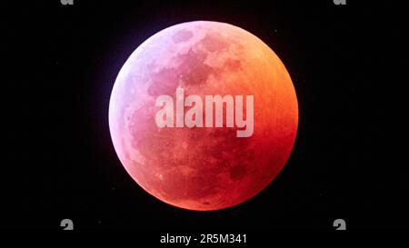 Palm Springs, Kalifornien, USA. 20. Januar 2019. Lunar Eclipse 20. Januar 2019 (Kreditbild: © Ian L. SITREN/ZUMA Press Wire) NUR REDAKTIONELLE VERWENDUNG! Nicht für den kommerziellen GEBRAUCH! Stockfoto