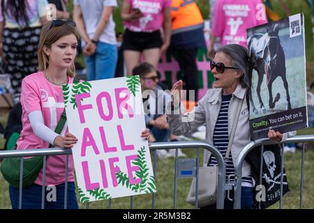 Epsom, Großbritannien. 3. Juni 2023. Tierschützer sind abgebildet, die kurz vor dem Epsom Derby Schilder an einer ausgewiesenen Proteststelle vor der Rennbahn Epsom Downs halten. Aktivisten von Gruppen wie Animal Rising und Animal Aid betrachten Pferderennen als grausame und ausbeuterische Industrie. £150.000 wurden für zusätzliche Sicherheitsmaßnahmen für das Epsom Derby ausgegeben. Die Polizei von Surrey berichtete, dass 31 Verhaftungen vorgenommen wurden, einschließlich 19 präventiven Verhaftungen. Kredit: Mark Kerrison/Alamy Live News Stockfoto