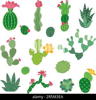 Dekorative Kaktuskollektion. Kakteen Blumen Symbole, mexiko Wüstenpflanzen Ikonen. Mexikanische oder arizona-Cartoon-Elemente, heutzutage Vektorclipart Stock Vektor
