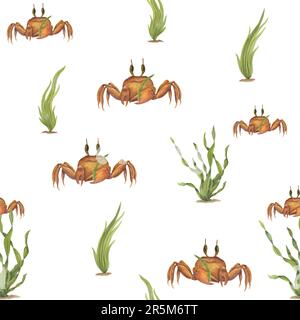 Wasserfarbenes nahtloses Unterwassermuster brauner Cartoon-Krabben, grüne Seetang auf weißem Hintergrund isoliert. Handbemalte Abbildung für Design Stockfoto
