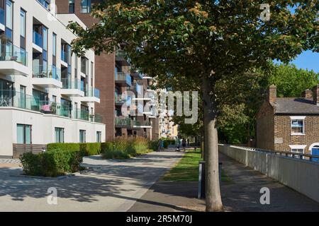 Neue Apartments entlang East Parkside, Greenwich, London, UK, im Sommer Stockfoto