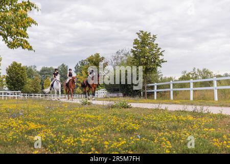 Drei Reitfrauen reiten an sonnigen Tagen Seite an Seite im Reitzentrum auf wunderschönen Pferden Stockfoto