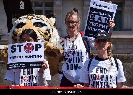 London, Großbritannien. 04. Juni 2023. Demonstranten halten Anti-Trophäen-Jagdplakate und tragen während der Demonstration eine Tigermaske. Aktivisten der Kampagne zum Verbot der Trophäenjagd haben in Marble Arch einen Protest durchgeführt, in dem gefordert wurde, dass die britische Regierung die Einfuhr von Trophäenjagden verbietet und ein Ende der Trophäenjagd weltweit fordert. (Foto: Vuk Valcic/SOPA Images/Sipa USA) Guthaben: SIPA USA/Alamy Live News Stockfoto