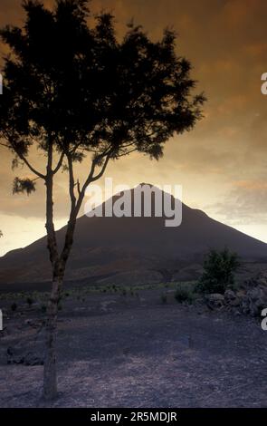 Die Landschaft mit dem Vulkan und dem Berg Fogo auf der Insel Fogo auf den Kap-verdischen Inseln in Afrika. Kap Verde, Fogo, Mai 2000 Stockfoto