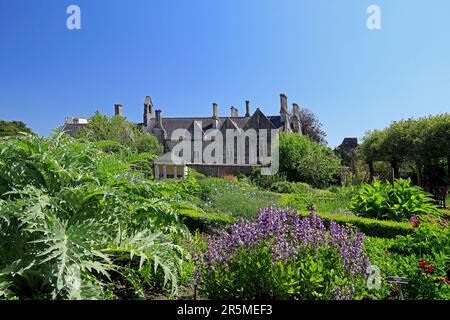 Die Alte Grammarschule aus dem Cowbridge Physic Garden, mit blühendem Salbei im Vordergrund. In der Nähe von Cardiff, South Wales. Mai 2023. Sommer. Stockfoto