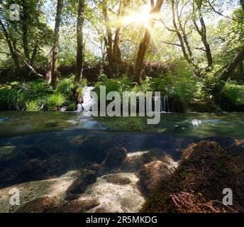 Fluss mit grüner Vegetation und Sonnenlicht in den Bäumen, geteilter Blick über und unter der Wasseroberfläche, Spanien, Galicien, Provinz Pontevedra Stockfoto