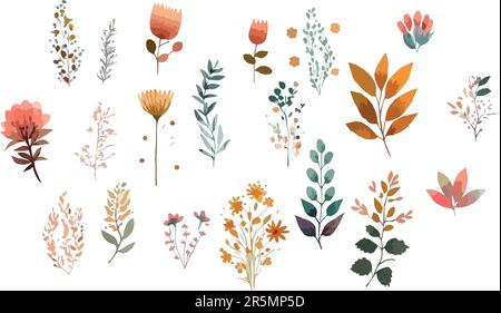 Wildblumen, blühende Pflanzen, blühende Blumen. Stock Vektor