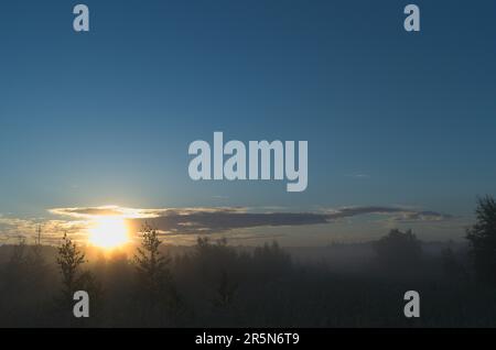 Dämmerung im Wald. Sonnenstrahlen erleuchten den Himmel und den Nebel über der Wiese Stockfoto