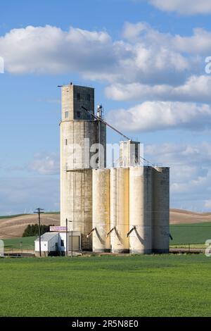 Steptoe, WA, USA - 22. Mai 2023; Pacific Northwest Farmers Cooperative Silo im Whitman County Washington Stockfoto
