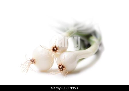 Drei Frühlingszwiebeln auf weißem Hintergrund Stockfoto