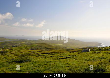 Blick von Geokaun Mountain, County Kerry, Irland, Valentia Island Stockfoto