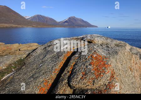 Dundas Harbour, Devon-Insel, Nunavut, Kanada Stockfoto