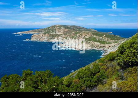 Pointe de la Revellata, Halbinsel bei Calvi, Korsika, Frankreich Stockfoto