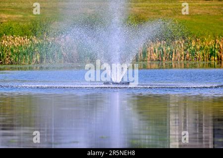 Wasserspritzer in einem Regenfließteich in der Nähe von Edmonton, Alberta, Kanada Stockfoto